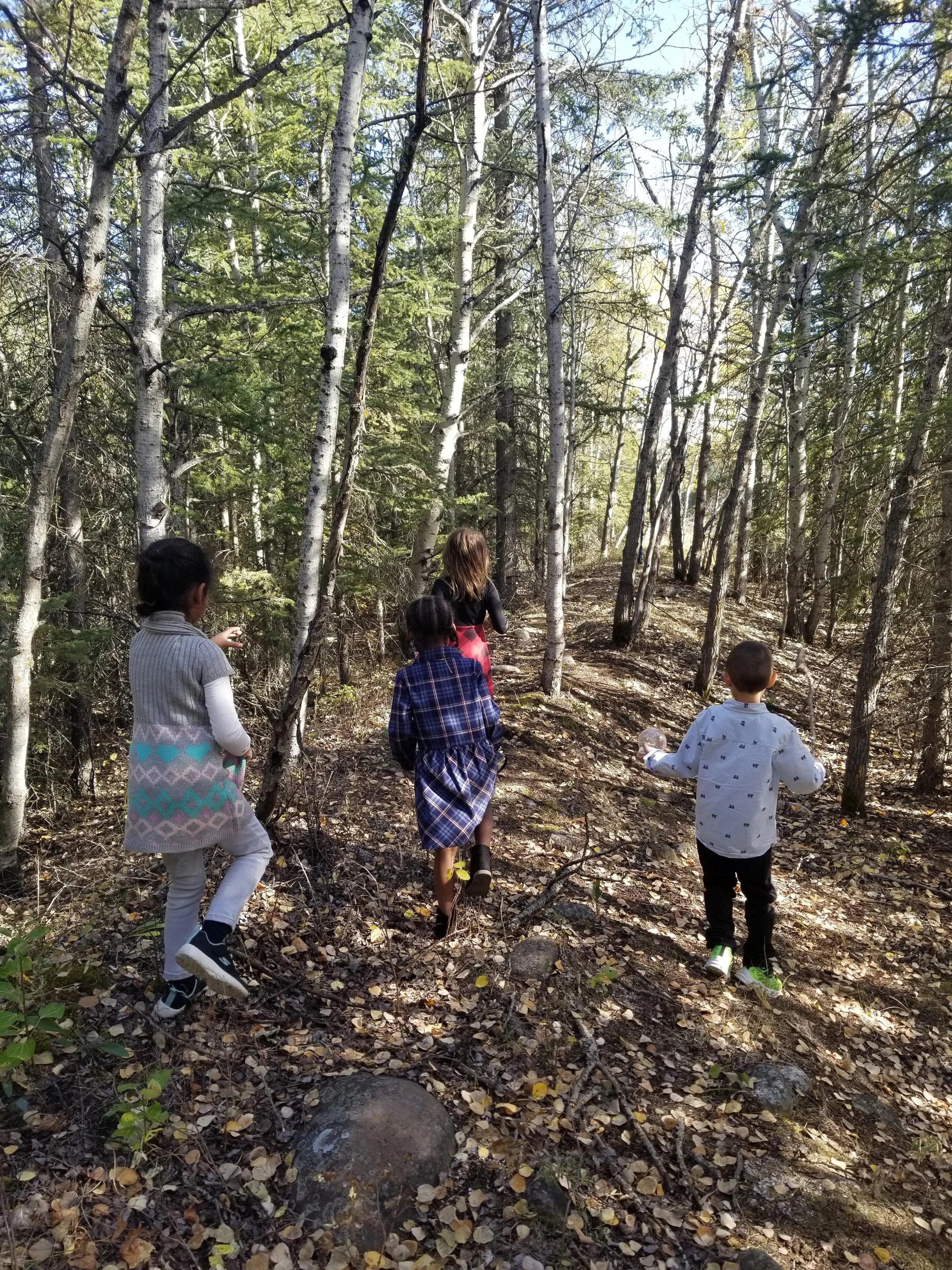 SEEDS OF S.P.I.C.E. EARLY LEARNING CENTRE INC. - MARDA LOOP, Calgary
