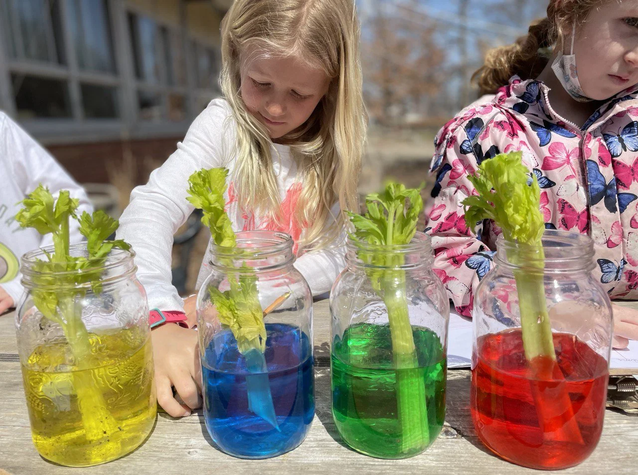 Dundas Valley Montessori School - Licensed Daycare in Dundas, ON