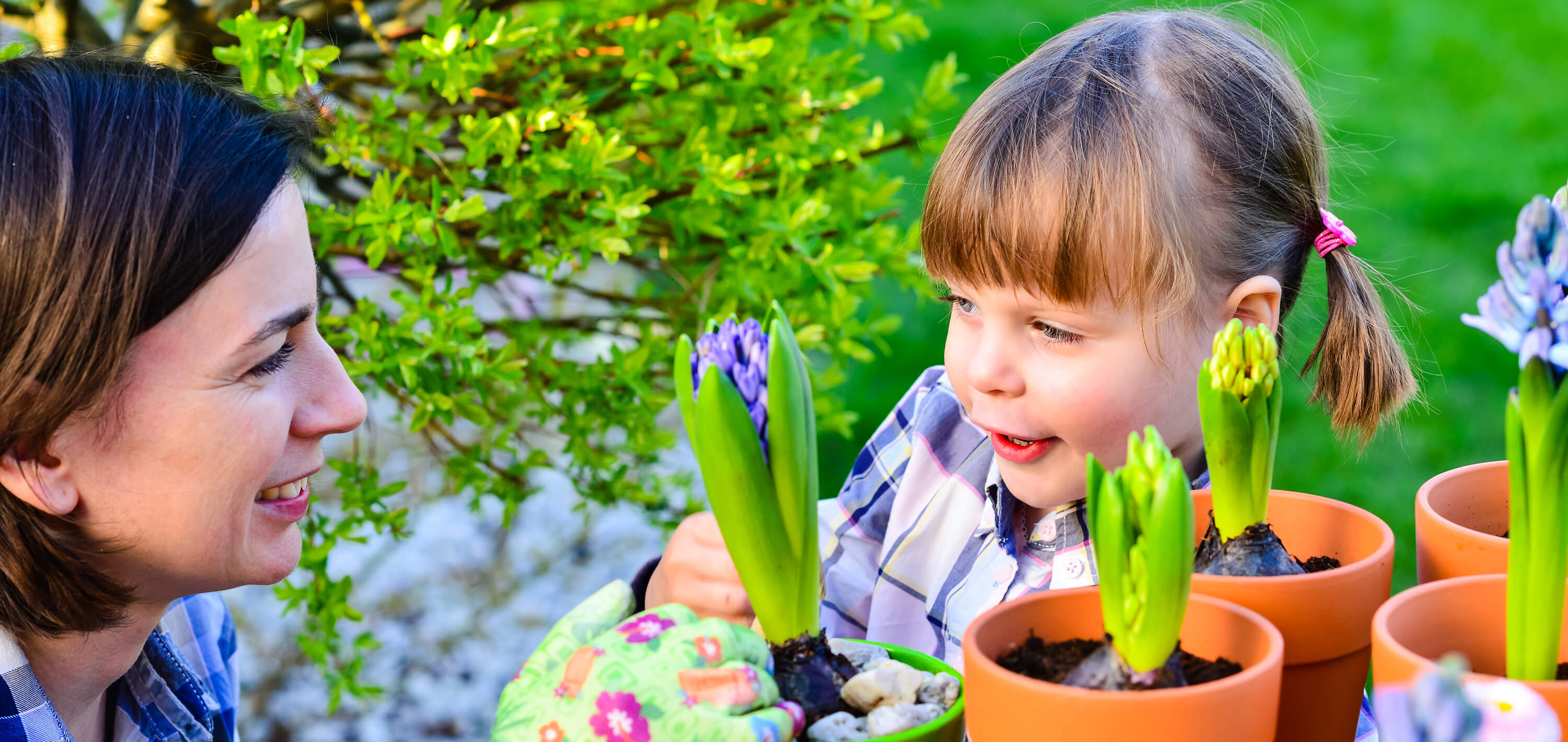 Wee College Salisbury, licensed daycare in Salisbury, NB