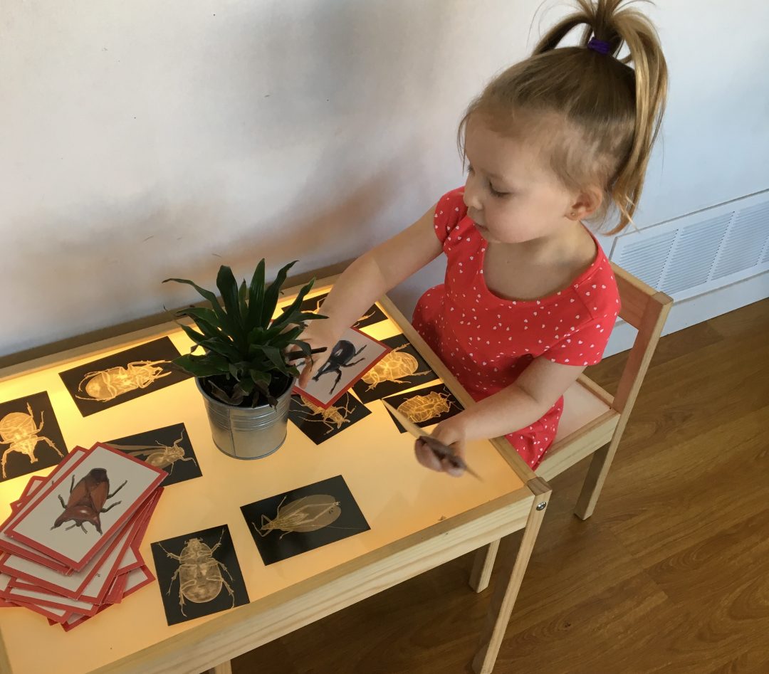 Active Explorers Preschool, Calgary