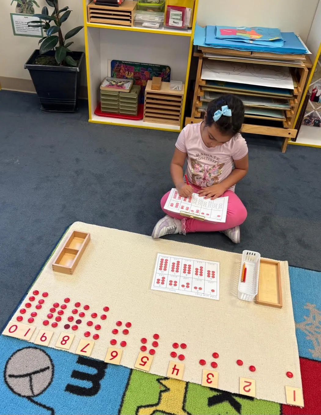 Premier Montessori Academy