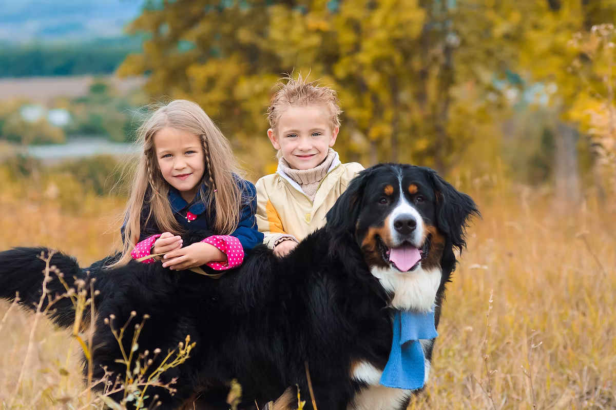 Garderie les Petits Seigneurs - Licensed Daycare in Lévis, QC