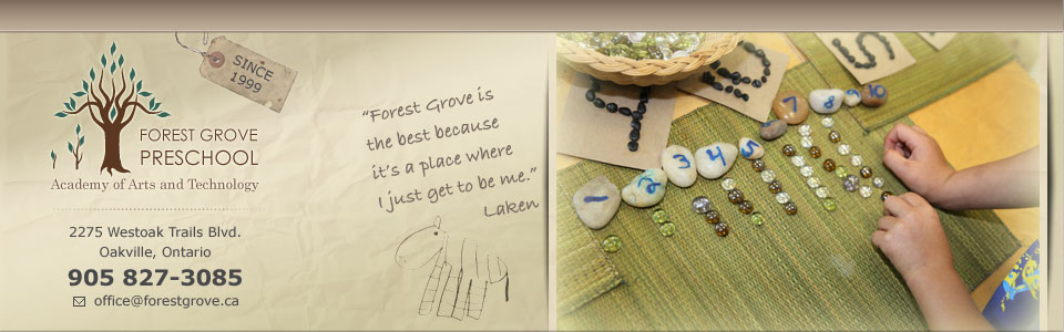 Forest Grove Preschool Academy Of Arts & Technology - Licensed Daycare in Oakville, ON