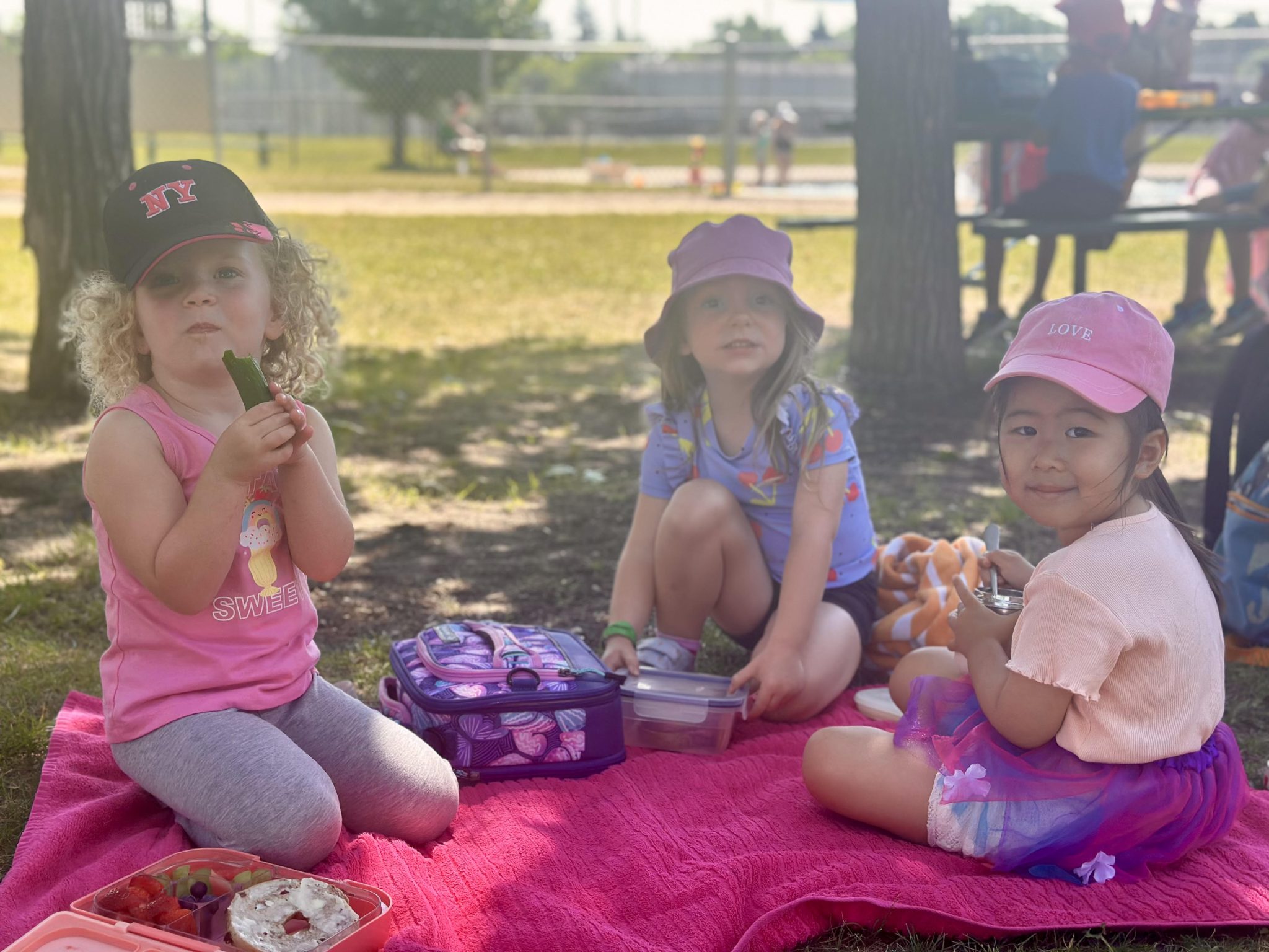 Down to Earth Children's Centre - Licensed Daycare in Winnipeg, MB