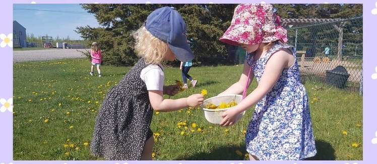 Mtjb Kemptville Main Site - Licensed Daycare in Kemptville, ON