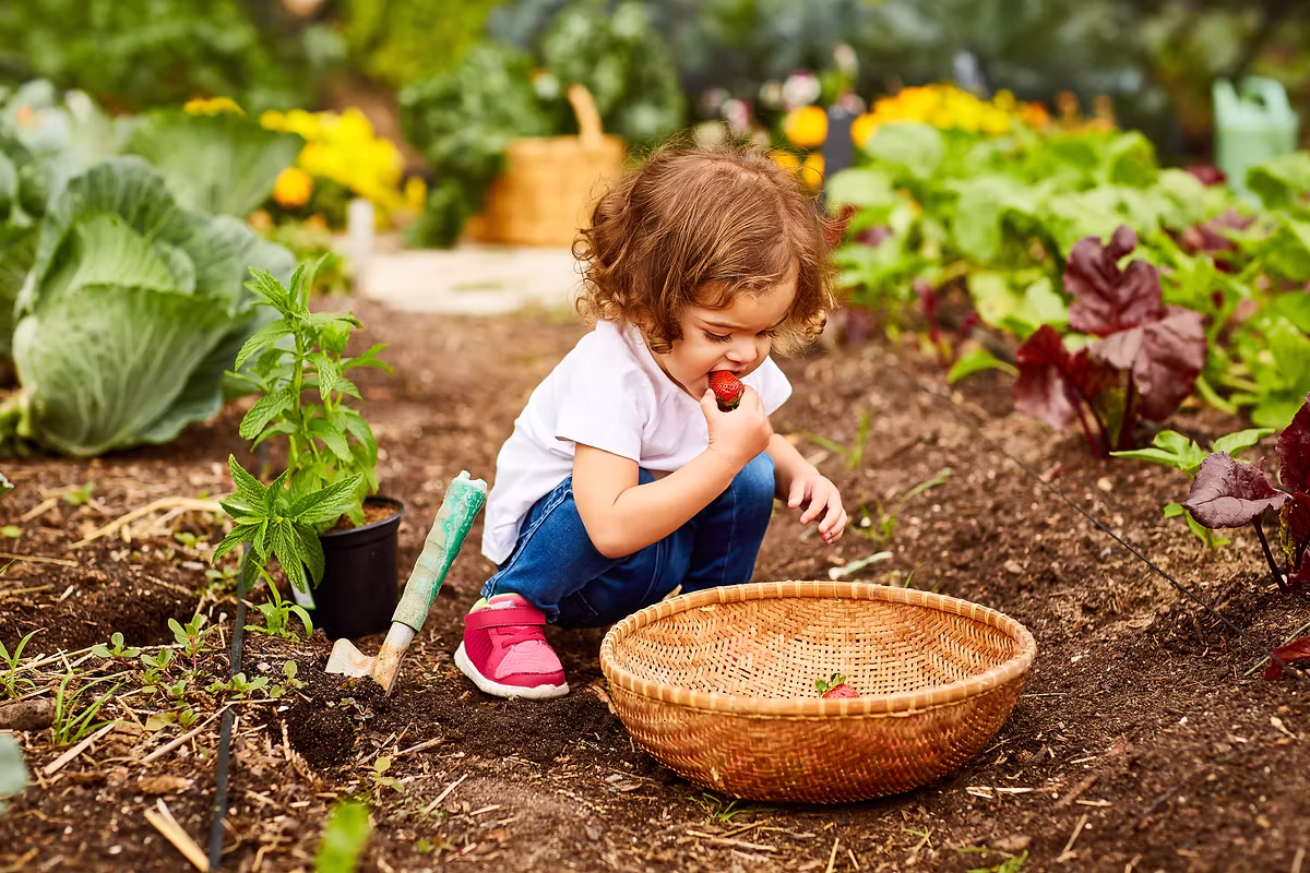 Centre de la Petite Enfance la Boîte à Soleil - Licensed Daycare in Chambly, QC