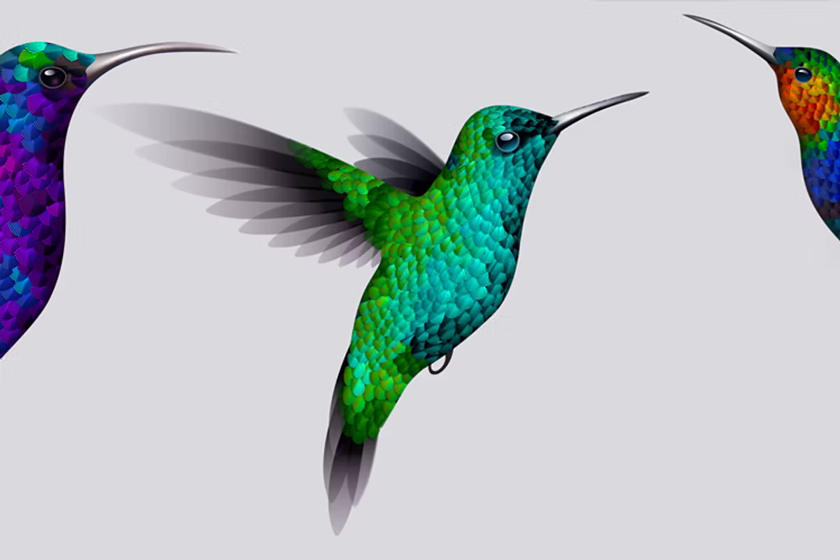 Hummingbird Child Care Centre - Licensed Daycare in Port Alberni, BC