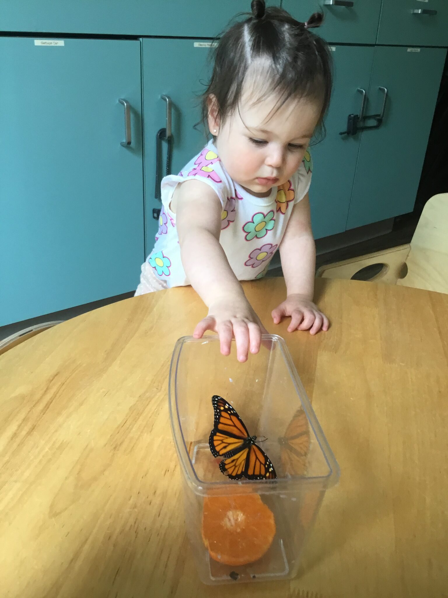 St. Cecilia School Age Program, licensed daycare in Maple, ON