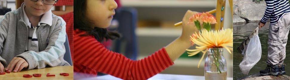 Merville Montessori School - Licensed Daycare in Merville, BC